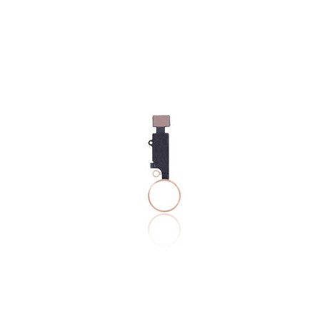 Flexible de Botón de Inicio Para iPhone 7 / 8 / 7 Plus / 8 Plus / SE (2020) (Dorado) (Solo Uso Estético)