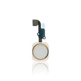Flexible de Botón de Inicio Para iPhone 6S / 6S Plus (Dorado)