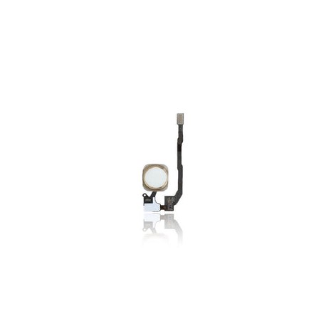 Flexible de Botón de Inicio iPhone Para iPhone 5S / SE (2016) (Dorado)